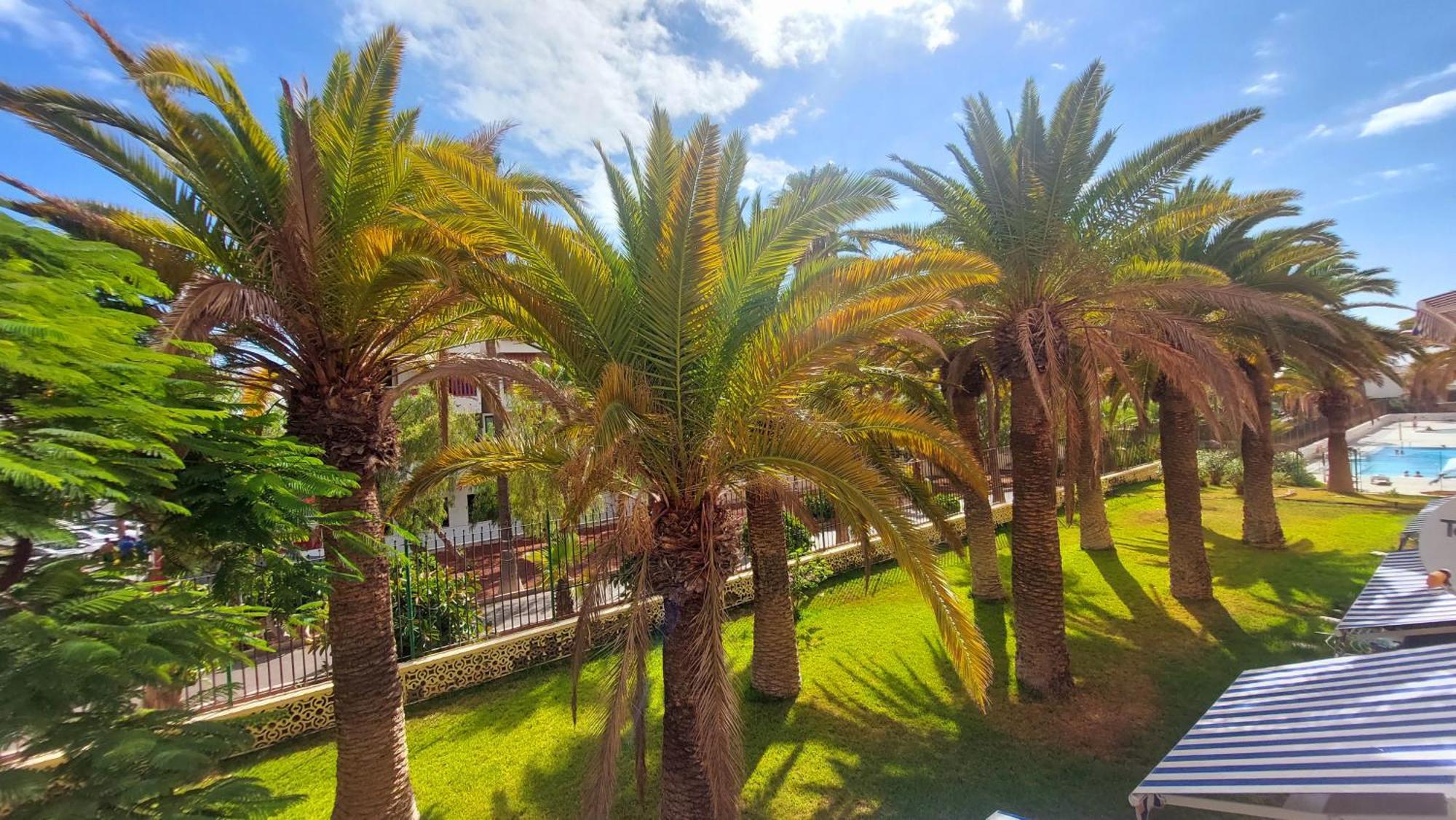 Apartamento Margarita Con Piscina En Playa Honda, Playa Las Americas Arona  Exterior foto